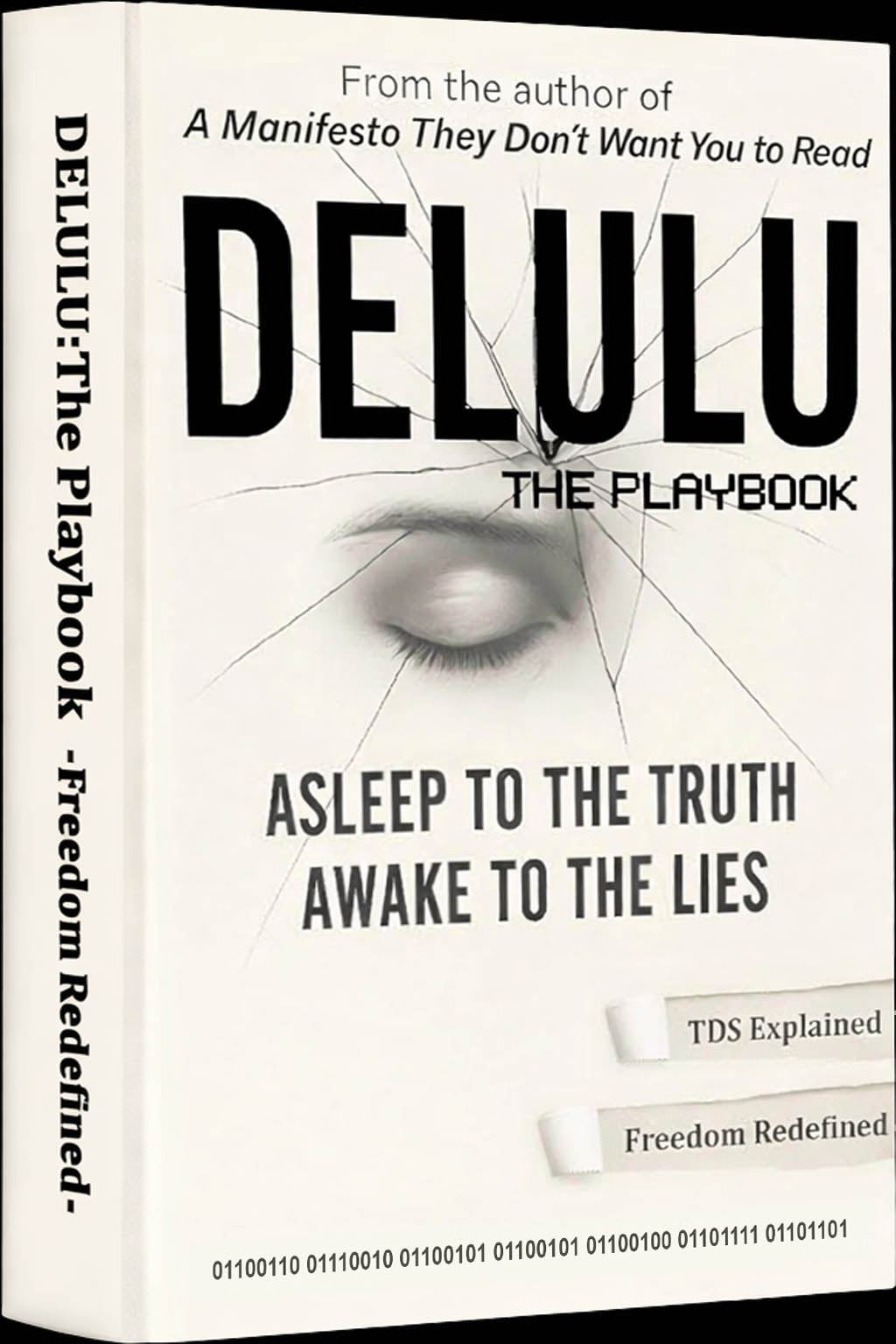 DELULU ERA Book Cover